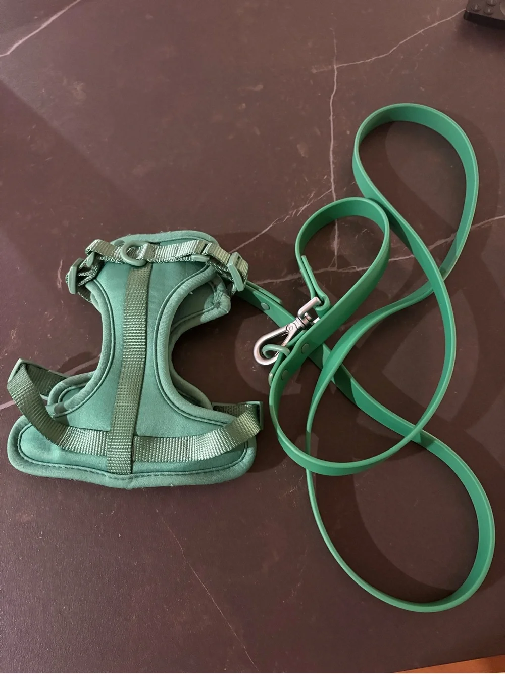 Wild One XS harness/leash set in color Spruce